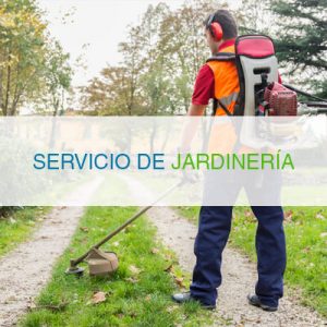Servicio de jardinería